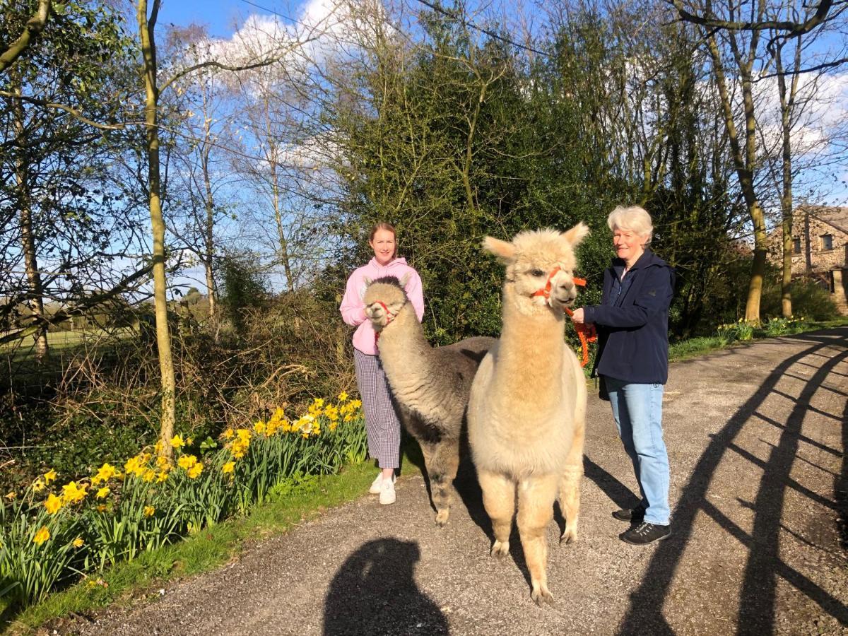 Alpaca Fold Villa Preston  Dış mekan fotoğraf