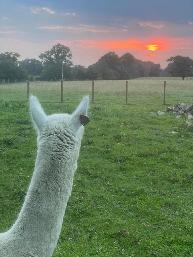 Alpaca Fold Villa Preston  Dış mekan fotoğraf